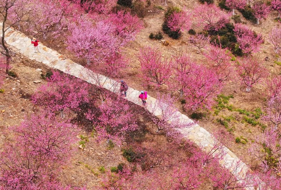 崔永元：范冰冰已向我道歉，阴阳合同还有大人物